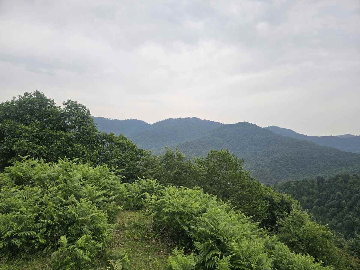 Secluded Bibiyoni waterfall under a green forest canopy near Lerik, Azerbaijan